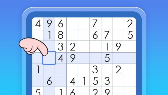 sudoku entry